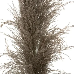 ATMOSPHERA 3 fleurs séchées 