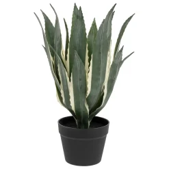 ATMOSPHERA Agave artificiel