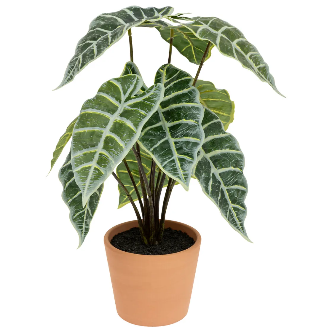 ATMOSPHERA Alocasia artificiel New
