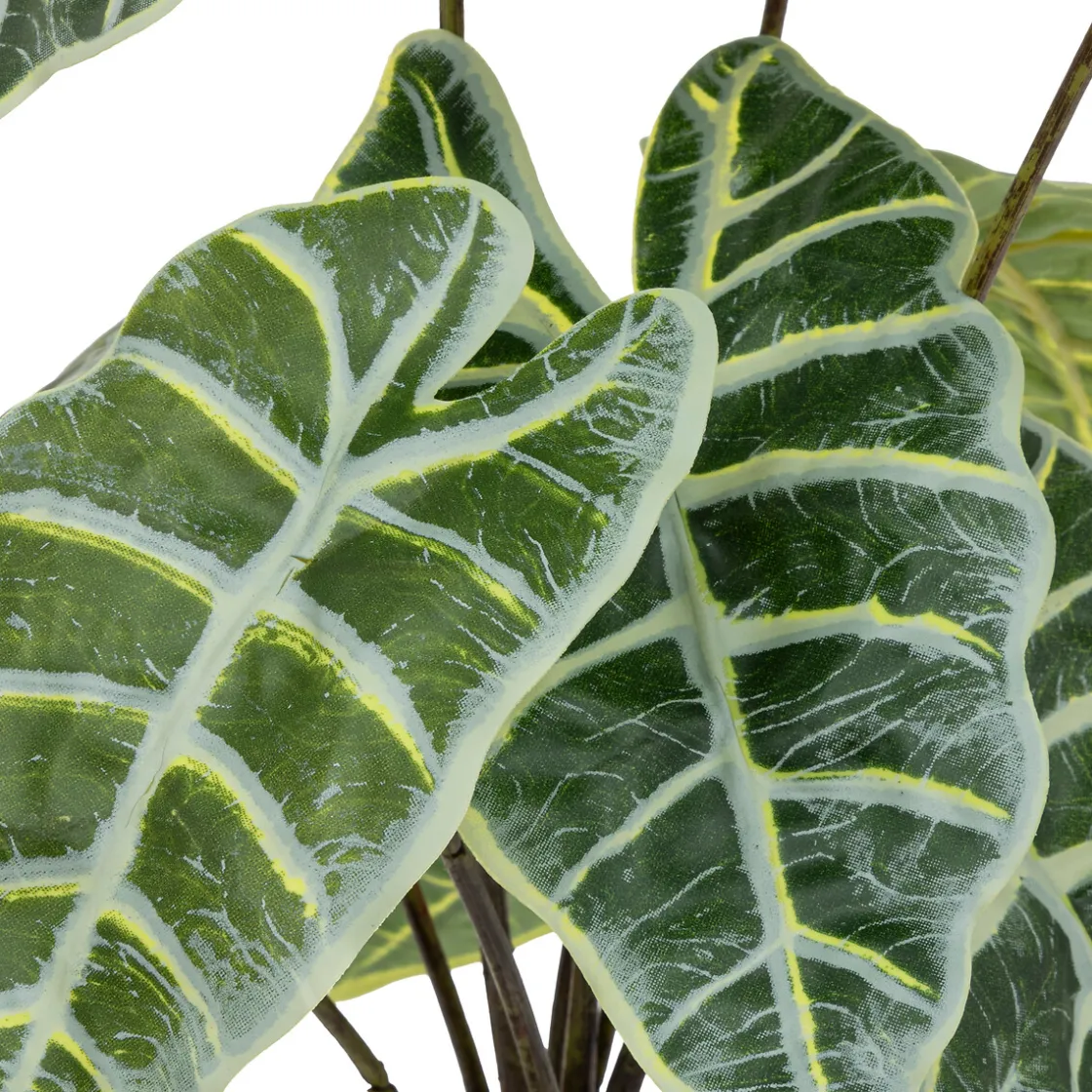 ATMOSPHERA Alocasia artificiel New