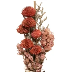 ATMOSPHERA Bouquet de fleurs séchées "Wonder" Sale