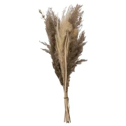 ATMOSPHERA Bouquet de pampas séchées "Ori" Online
