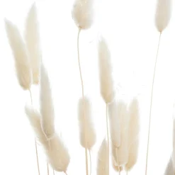 ATMOSPHERA Bouquet de plantes séchées Clearance