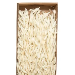 ATMOSPHERA Bouquet fleurs séchées New