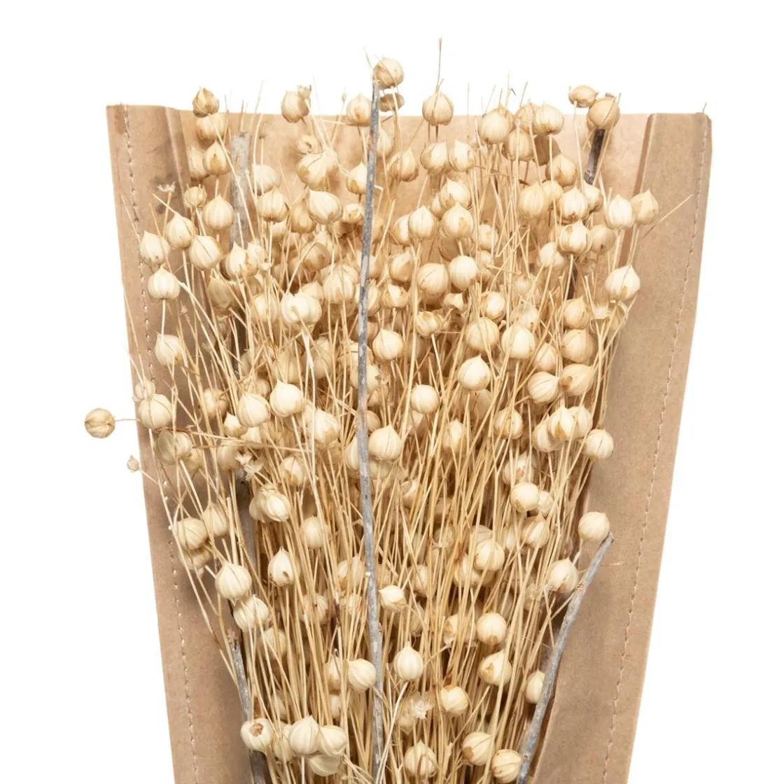 ATMOSPHERA Bouquet fleurs séchées New