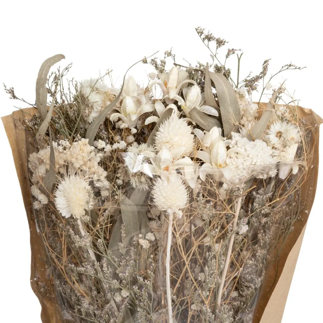 ATMOSPHERA Bouquet fleurs séchées "Eucalyptus" New