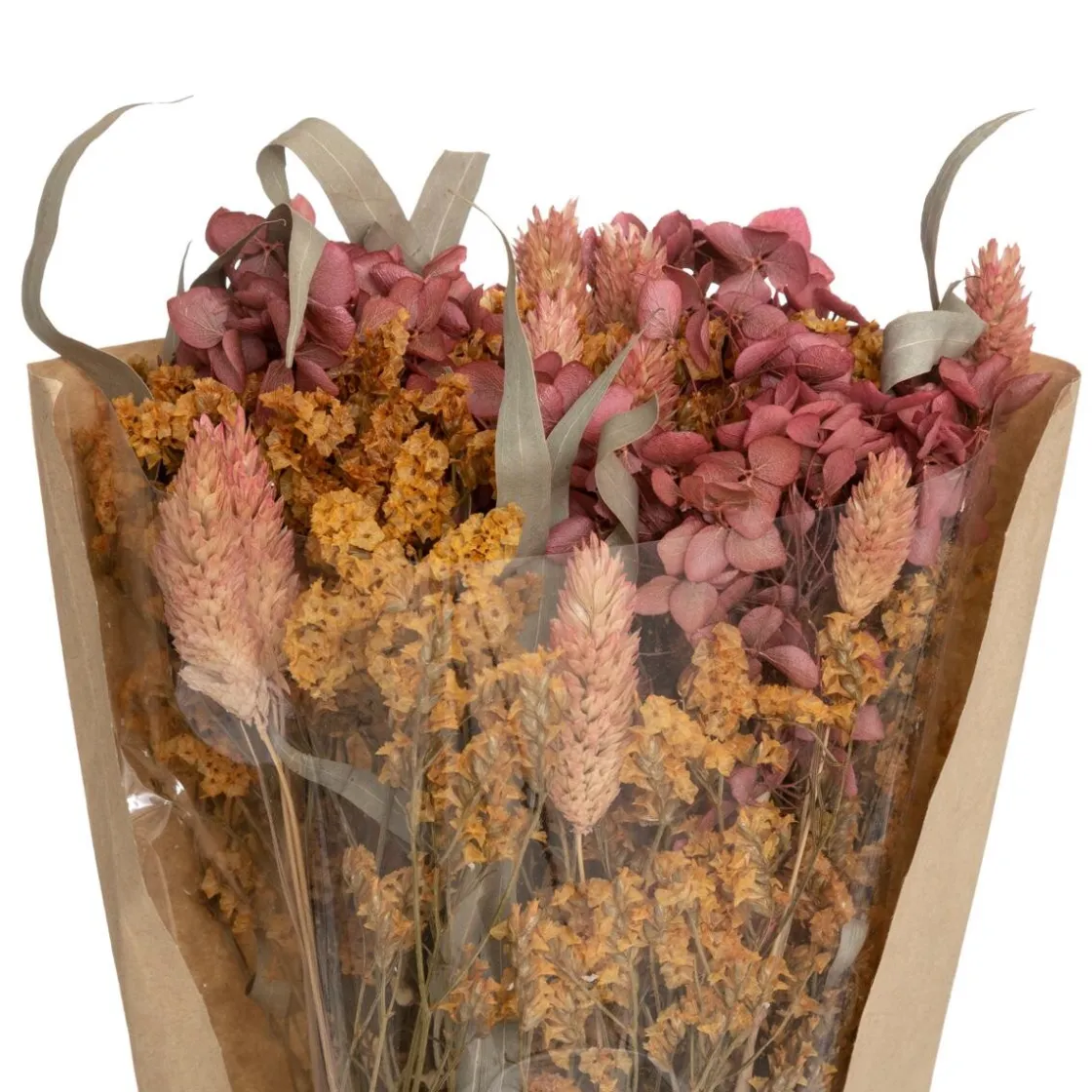 ATMOSPHERA Bouquet fleurs séchées "Eucalyptus" New