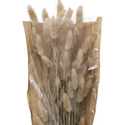 ATMOSPHERA Bouquet fleurs séchées "Ori" Best