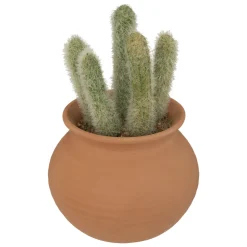 ATMOSPHERA Cactus artificiel "Ali", H16,5 cm Sale