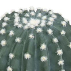 ATMOSPHERA Cactus rond "Exotic Panama" Online