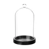 ATMOSPHERA Cloche verre et bois Best