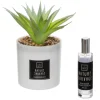 ATMOSPHERA Coffret senteur "Cactus"