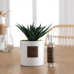ATMOSPHERA Coffret senteur "Cactus"