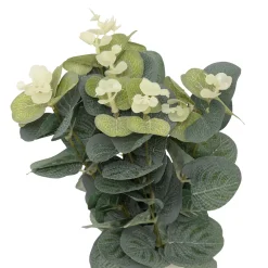 ATMOSPHERA Composition Eucalyptus avec vase 