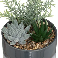 ATMOSPHERA Composition plantes Best