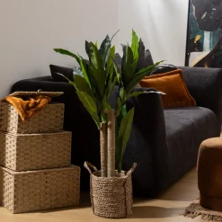 ATMOSPHERA Dracena artificielle "Onia" Discount