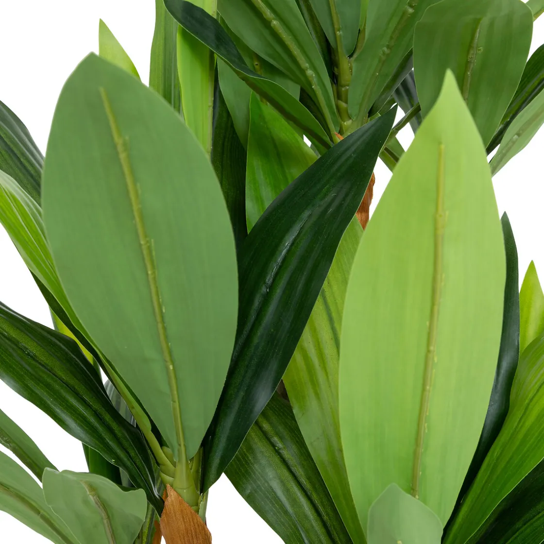 ATMOSPHERA Dracena artificielle "Onia" Discount