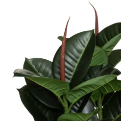 ATMOSPHERA Ficus robusta artificiel H120 cm Best