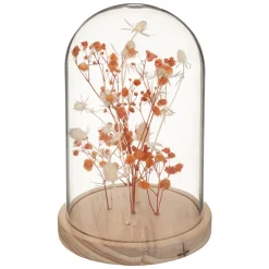 ATMOSPHERA Fleurs séchées sous cloche "Gypsy" Discount