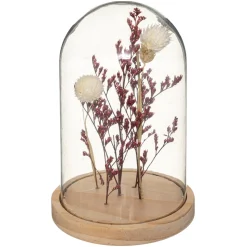 ATMOSPHERA Fleurs séchées sous cloche "Gypsy" Discount