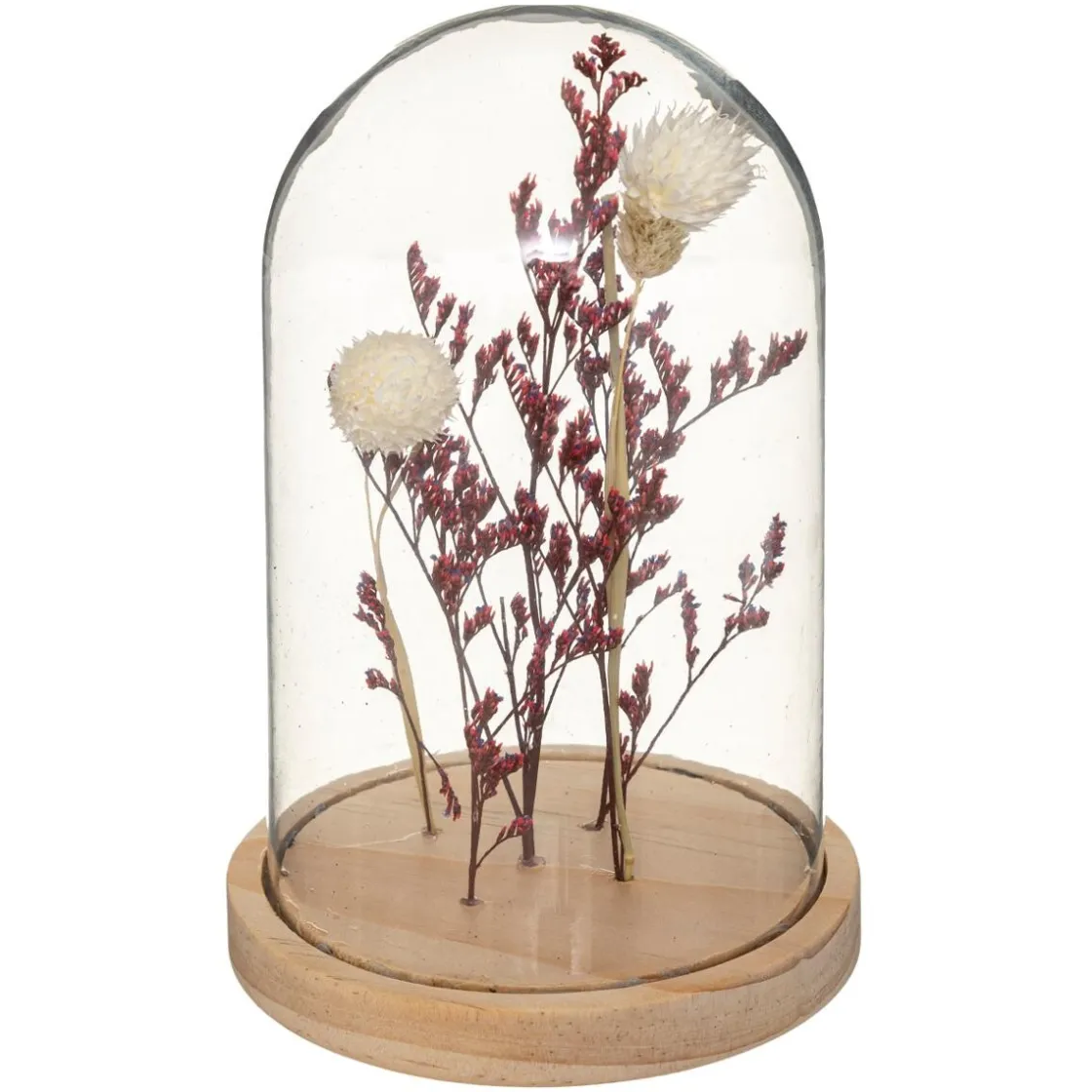 ATMOSPHERA Fleurs séchées sous cloche "Gypsy" Discount