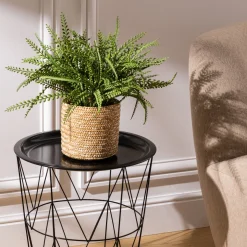 ATMOSPHERA Fougère artificielle en pot "Clemy" Clearance