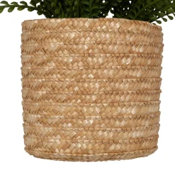 ATMOSPHERA Fougère artificielle en pot 