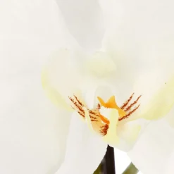 ATMOSPHERA Orchidée artificielle Best