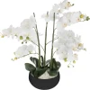 ATMOSPHERA Orchidée artificielle en pot "Orchidée"