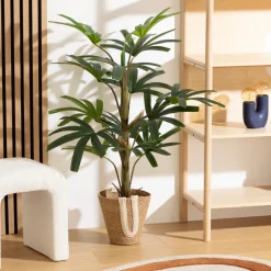 ATMOSPHERA Palmier Best