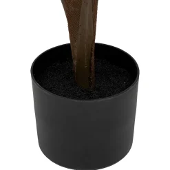 ATMOSPHERA Palmier Best