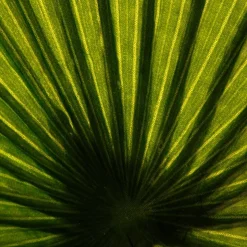 ATMOSPHERA Palmier artificiel Discount