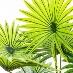 ATMOSPHERA Palmier artificiel