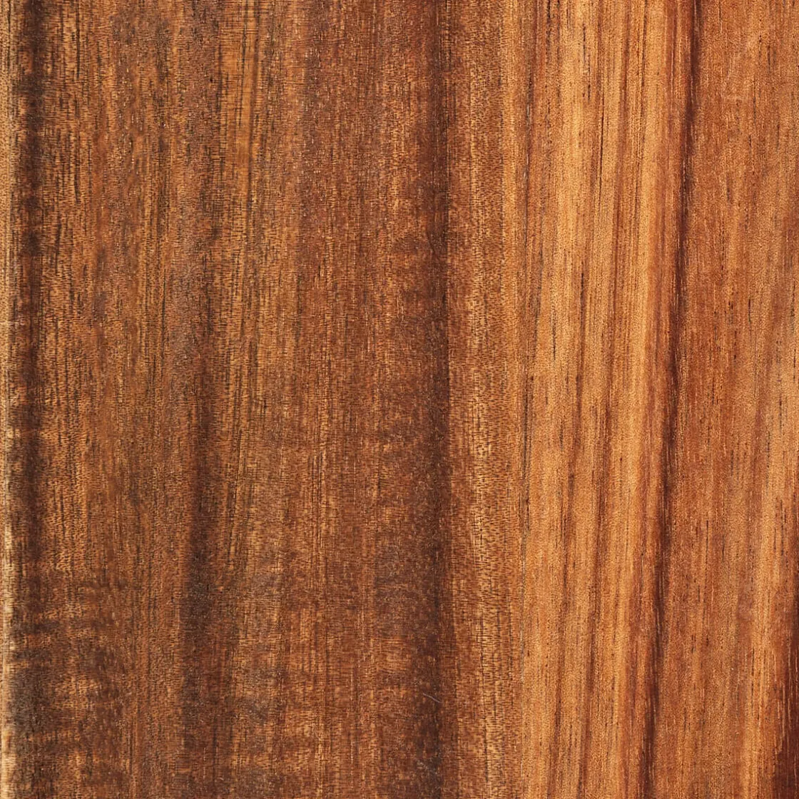 ATMOSPHERA Planche de présentation Discount