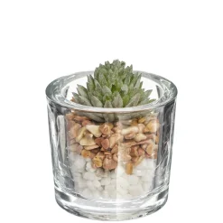 ATMOSPHERA Plante artificielle New