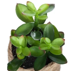 ATMOSPHERA Plante artificielle Hot