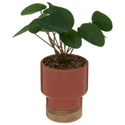 ATMOSPHERA Plante artificielle Sale