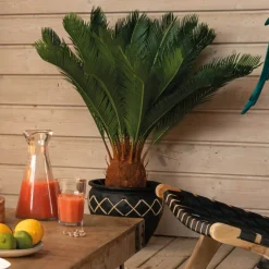 ATMOSPHERA Plante artificielle "Ananas" Online