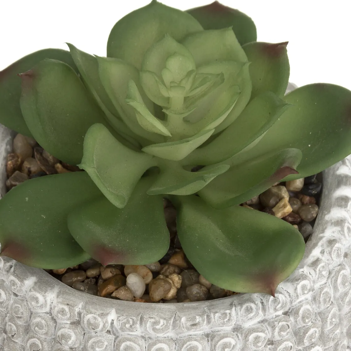 ATMOSPHERA Plante artificielle "Bouddha" New