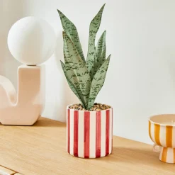 ATMOSPHERA Plante artificielle en pot "Cheri" Clearance