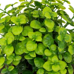 ATMOSPHERA Plante artificielle en pot 