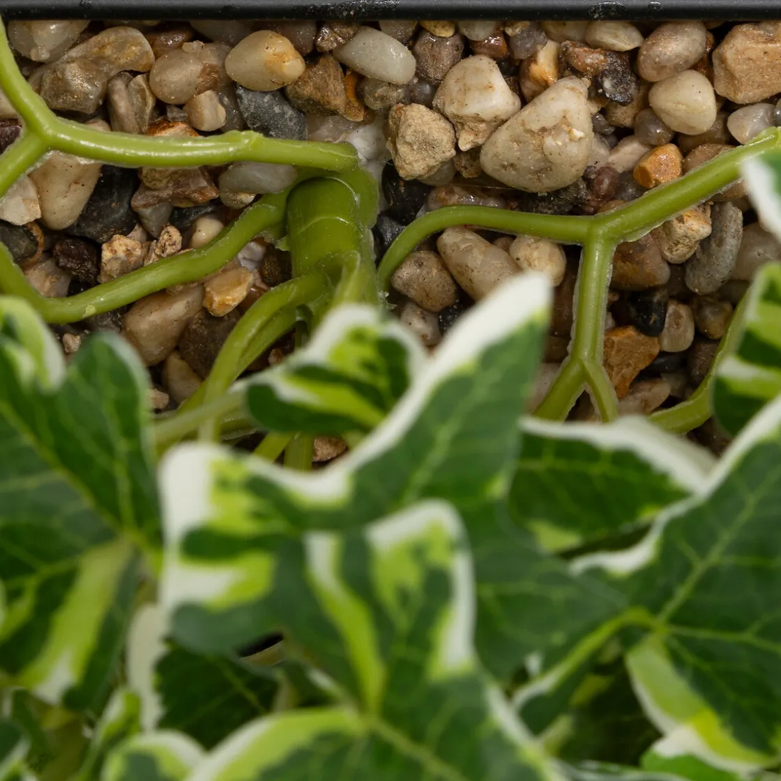 ATMOSPHERA Plante artificielle suspendue "Curt" Clearance