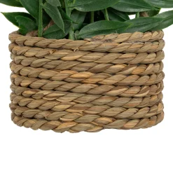 ATMOSPHERA Plante artificielle suspendue