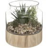 ATMOSPHERA Plante artificielle terrarium Online