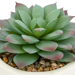 ATMOSPHERA Plante grasse artificielle 