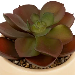 ATMOSPHERA Plante grasse artificielle 