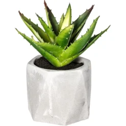 ATMOSPHERA Plante grasse artificielle Outlet