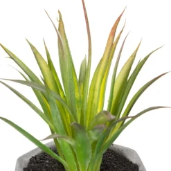 ATMOSPHERA Plante grasse artificielle Outlet