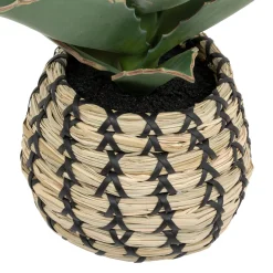 ATMOSPHERA Plante Samouraï articifielle 