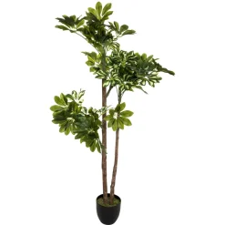 ATMOSPHERA Schefflera artificiel Outlet